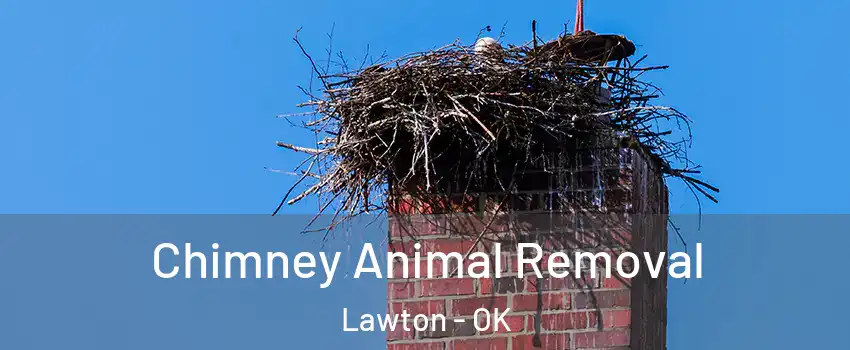  Chimney Animal Removal Lawton - OK