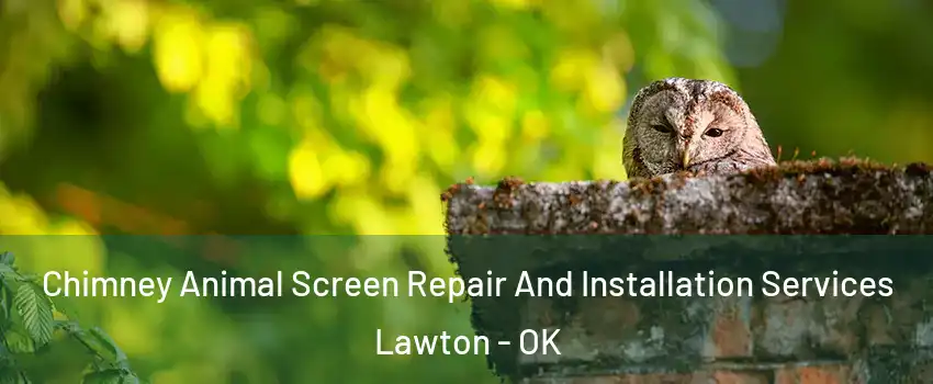  Chimney Animal Screen Repair And Installation Services Lawton - OK