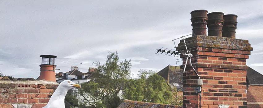 Chimney Cleaning And Restoration in Lawton, Oklahoma